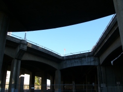 p1290563