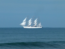 p2260948rcn