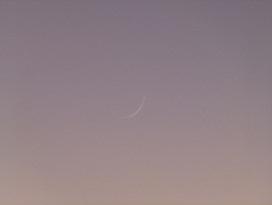 p2350119