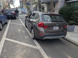 pxl20260117231849296