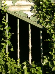 p1220390r