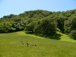 p1170842