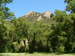 p1170843