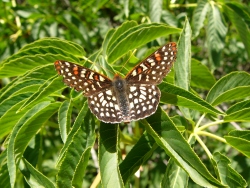 p1170859