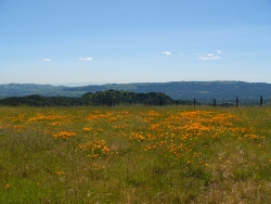 p1170872