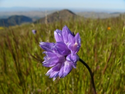 p1170880