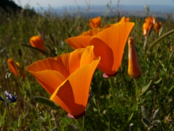 p1170888