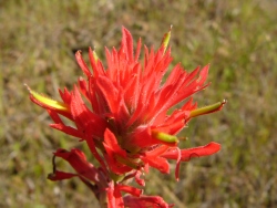 p1170892