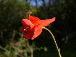 p1170898