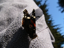 p1230303