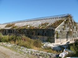 p1330493