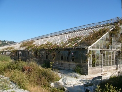 p1330494