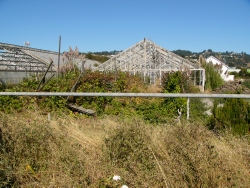 p1330496