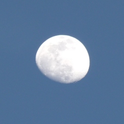 previous
