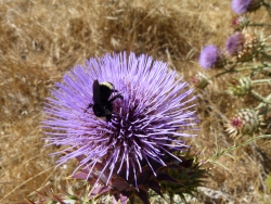 p2330001