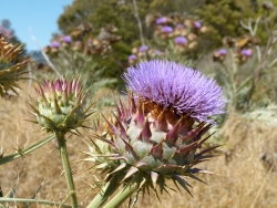 p2330002