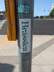 pxl20240523000550388