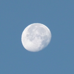 p2330804c