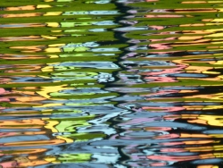 p2330816c