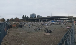pano20231122232042929