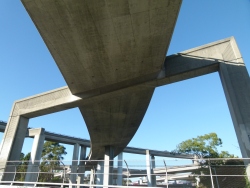 p2290562