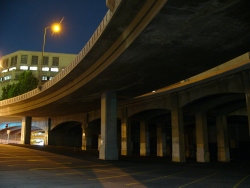 p1290631
