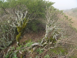 p1090003