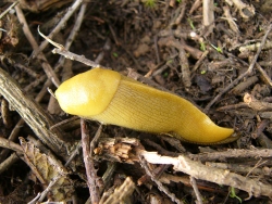 p1090006