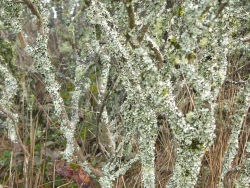 p1090008