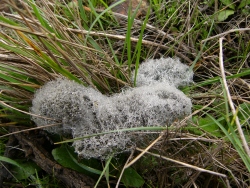 p1090009