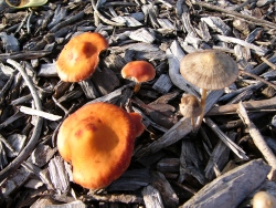 p1090026