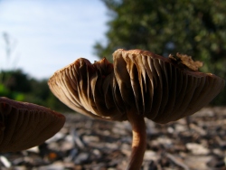 p1090029