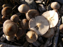 p1090030