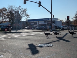 pxl20251214215618316