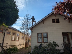 pxl20251216221000764