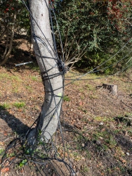 pxl20251218224035582