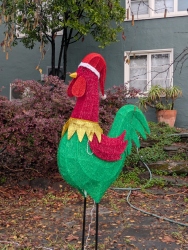 pxl20251222194352422