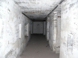 p1010413