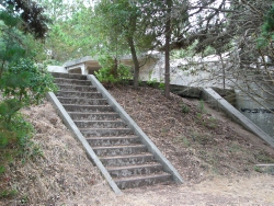 p1010419