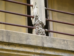 p1010438