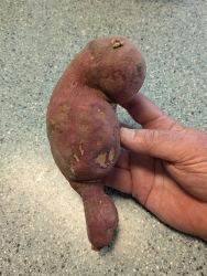 pxl20260323000347480