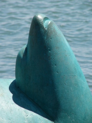 p1100755r