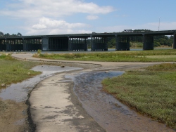 p1100766
