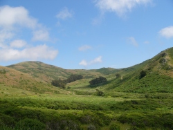 p1100767