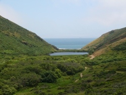 p1100768