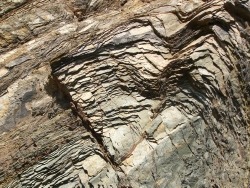 p1100773