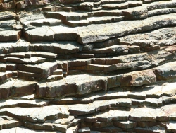 p1100774