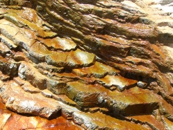 p1100776