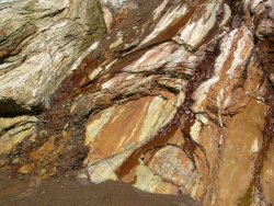 previous