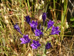 p1100787